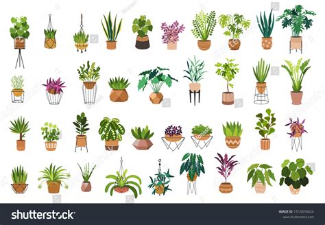 house plants drawing|71,534 House Plants Drawing Images, Stock Photos & Vectors .